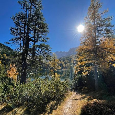 Gaestezimmer Peterbauer Διαμέρισμα Dorfgastein Εξωτερικό φωτογραφία