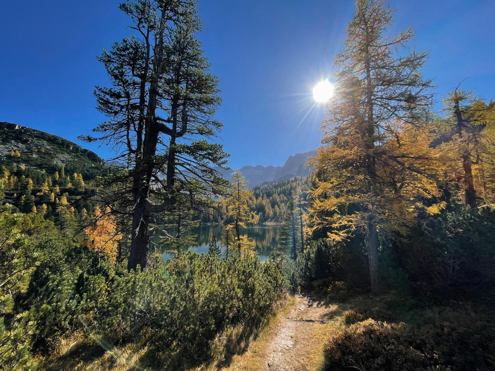 Gaestezimmer Peterbauer Διαμέρισμα Dorfgastein Εξωτερικό φωτογραφία