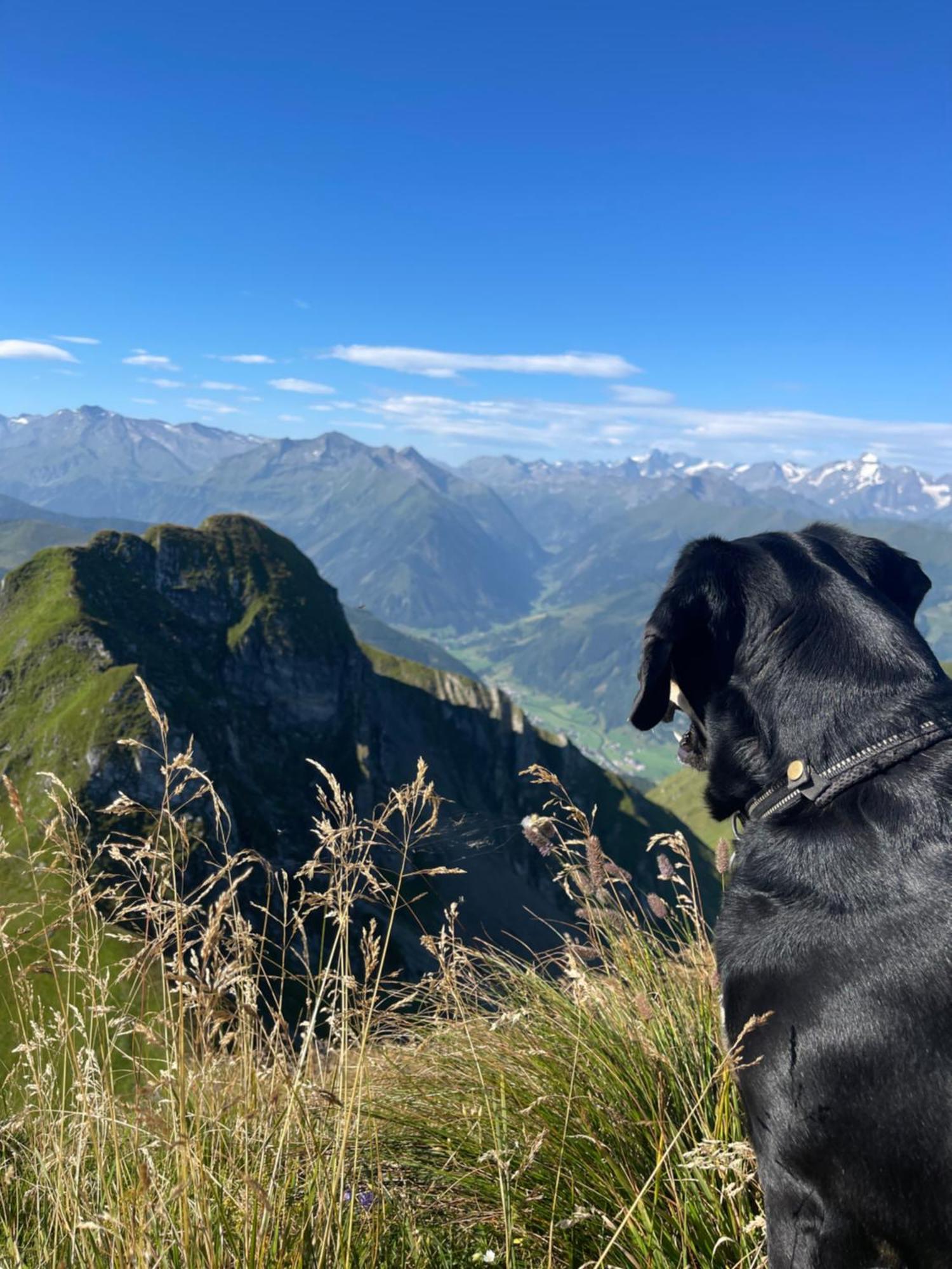 Gaestezimmer Peterbauer Διαμέρισμα Dorfgastein Εξωτερικό φωτογραφία