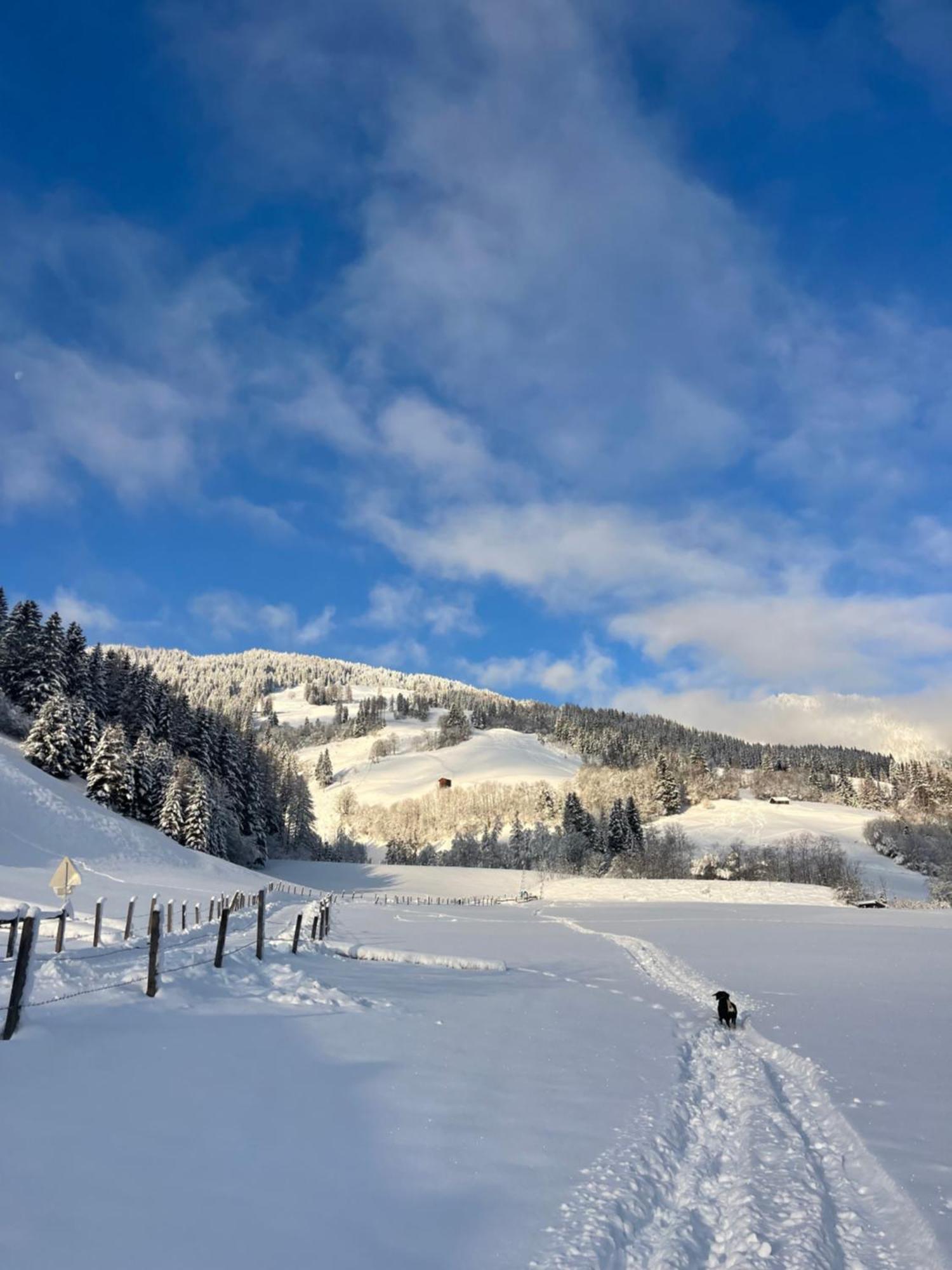 Gaestezimmer Peterbauer Διαμέρισμα Dorfgastein Εξωτερικό φωτογραφία