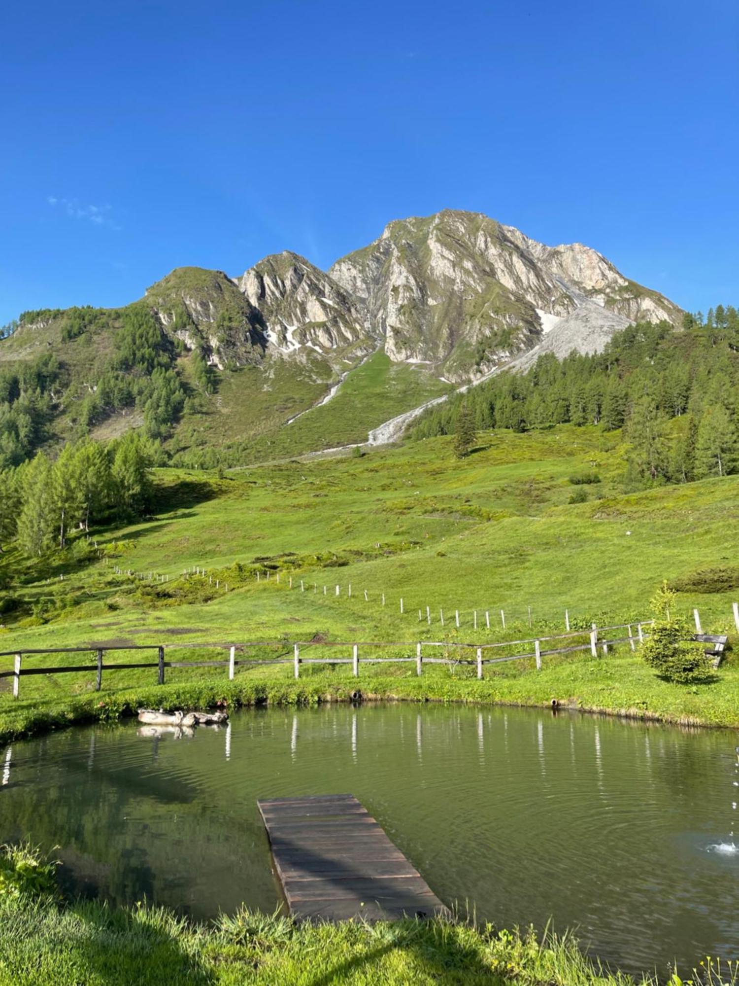 Gaestezimmer Peterbauer Διαμέρισμα Dorfgastein Εξωτερικό φωτογραφία